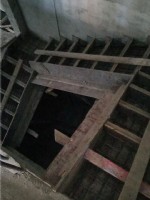 南京綠城玫瑰園